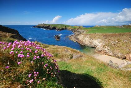 Die Küste von Irland © Robert Fudali - Fotolia