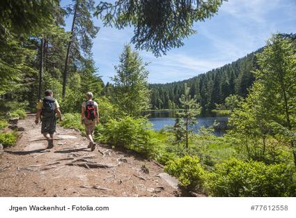 Wanderer am Herrenwieser See, Westweg, Forbach, Schwarzwald, Baden-Württemberg, Deutschland, Europa