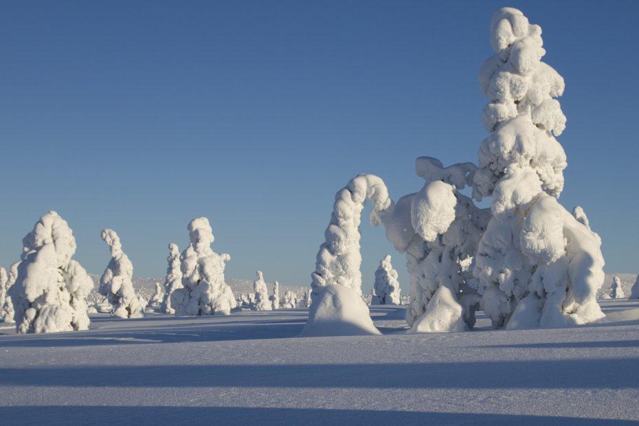 Winterlandschaft Finnland