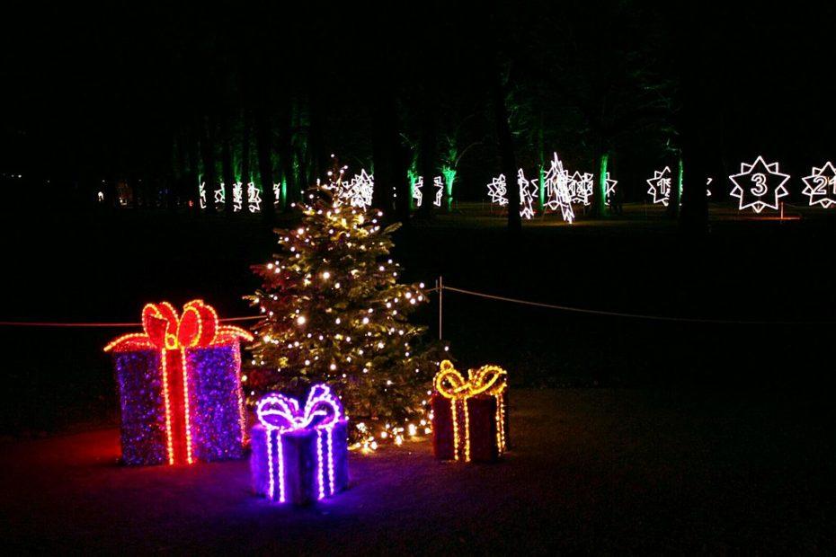 Christmas Garden Pillnitz, ca. 2km Rundgang an diversen beleuchteten Objekten vorbei
